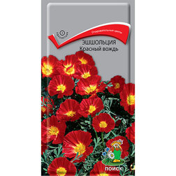 ����  ��������� ������� �����, ������ �� 26 ���