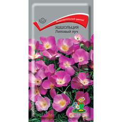 ����  ��������� ������� ���, ������ �� 26 ���