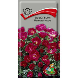 ����  ��������� ��������� ������, ������ �� 26 ���