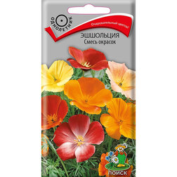 ����  ��������� ����� �������, ������ �� 26 ���