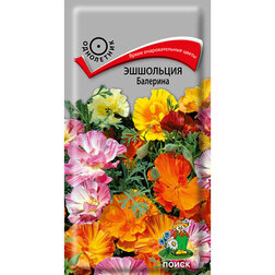 ����  ��������� ��������, ������ �� 26 ���