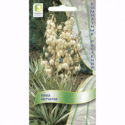 ����  ���� ��������, ������ �� 85 ���