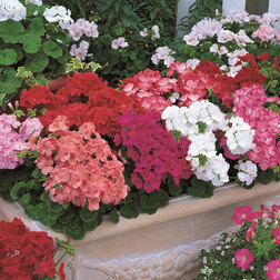 ����  ���������� ��������� ���������� ���� (1��-100��) ���������������� ������, ������ �� 3168 ���