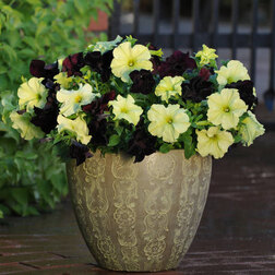 ����  ������� ����������� ��������� ��������� ��� ���� ���� (1��-100�����) ���������������� ������, ������ �� 2400 ���