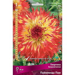 ����  �������� ����������� ��������� ���, ������ �� 462 ���