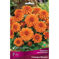 ����  �������� ������������ ������� ������, ������ �� 467 ���