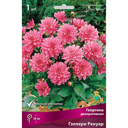 ����  �������� ������������ ������� ������, ������ �� 467 ���