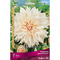 ����  �������� ������������ ���� � ��, ������ �� 484 ���