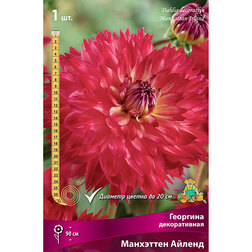 ����  �������� ������������ ��������� ������, ������ �� 445 ���