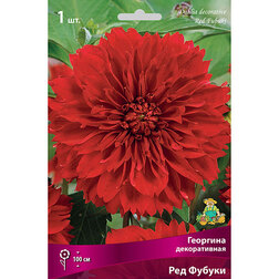 ����  �������� ������������ ��� ������ (1 ��.), ������ �� 462 ���