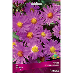 ����  ����� ������������� ������, ������ �� 319 ���