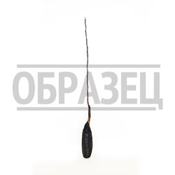 ����  ������ ������� ������, ������ �� 369 ���