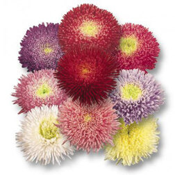 ����  ����� ������ �������� ���� (1 ��-1000��) ���������������� ������, ������ �� 1920 ���