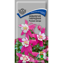 ����  ��������� ��������� ������� ������, ������ �� 29 ���