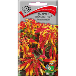 ����  ������� ����������� �����������, ������ �� 26 ���