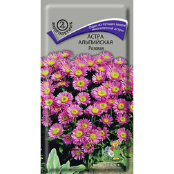 ����  ����� ���������� �������, ������ �� 26 ���