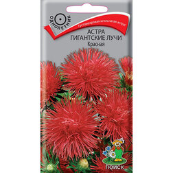 ����  ����� ���������� ���� �������, ������ �� 26 ���