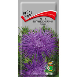 ����  ����� ���������� ���� �����, ������ �� 26 ���