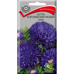 ����  ����� ����������� ������ �����, ������ �� 26 ���