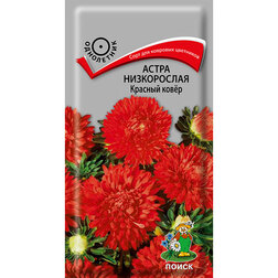 ����  ����� ����������� ������� ����, ������ �� 26 ���