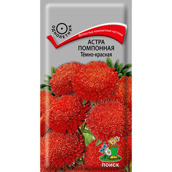 ����  ����� ��������� Ҹ���-�������, ������ �� 26 ���