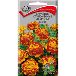 ����  �������� ����������� �������� ������, ������ �� 26 ���