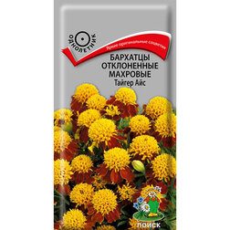 ����  �������� ����������� �������� ������ ���, ������ �� 26 ���