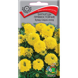 ����  �������� ������������ ����� ������ �����, ������ �� 26 ���