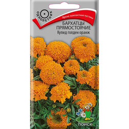 ����  �������� ������������ ����� ������ �����, ������ �� 26 ���