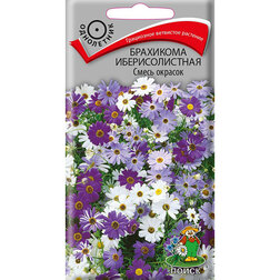 ����  ��������� �������������� ����� �������, ������ �� 26 ���