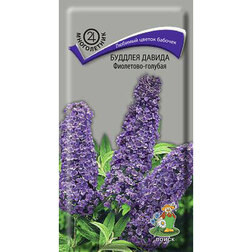 ����  ������� ������ ���������-�������, ������ �� 45 ���