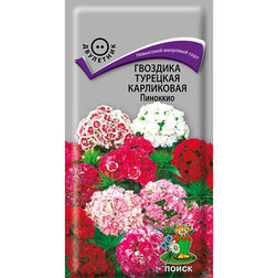 ����  �������� �������� ���������� ��������, ������ �� 26 ���