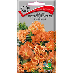 ����  ������� ��������������� ����� �����, ������ �� 26 ���