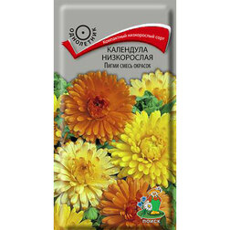 ����  ��������� ����������� ����� ����� �������, ������ �� 26 ���