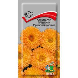 ����  ��������� ������� ����������� ���������, ������ �� 26 ���