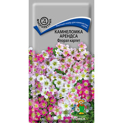 ����  ���������� ������� ������ ������, ������ �� 32 ���