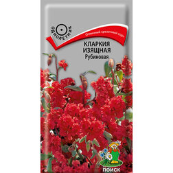 ����  ������� ������� ���������, ������ �� 24 ���