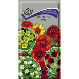 ����  �������� ����, ������ �� 55 ���