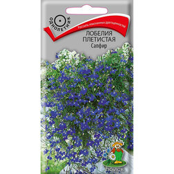 ����  ������� ��������� ������, ������ �� 36 ���