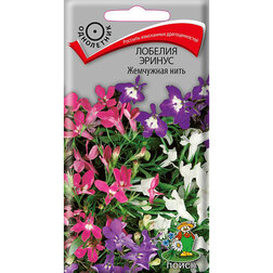 ����  ������� ������ ��������� ����, ������ �� 32 ���