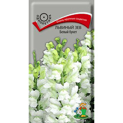 ����  ������� ��� ����� �����, ������ �� 26 ���