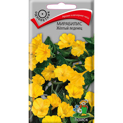 ����  ��������� Ƹ���� �������, ������ �� 26 ���