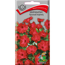 ����  ��������� ������� �������, ������ �� 26 ���