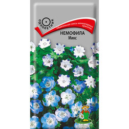 ����  �������� ����, ������ �� 26 ���