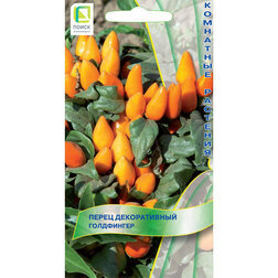 ����  ����� ������������ ����������, ������ �� 35 ���