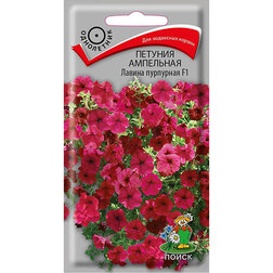 ����  ������� ��������� ������ ���������, ������ �� 52 ���