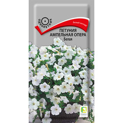 ����  ������� ��������� ����� �����, ������ �� 261 ���