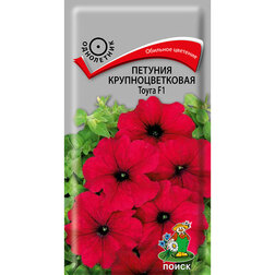 ����  ������� ��������������� �����, ������ �� 70 ���