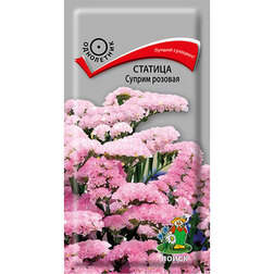 ����  ������� ������ �������, ������ �� 27 ���