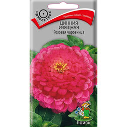 ����  ������ ������� ������� ���������, ������ �� 26 ���